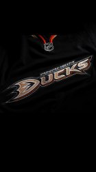 Ducks 02.jpg