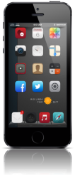 iphone 5s.png