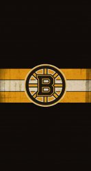 Bruins 02.jpg