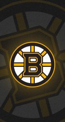 Bruins 03.jpg