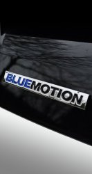 Blue Motion.jpg