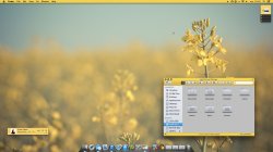 Yellow Desktop.jpg