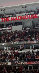 The Madhouse.jpg