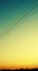 Telephone Wires 03.jpg