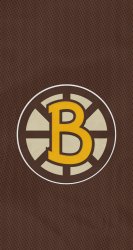 Bruins 03.jpg