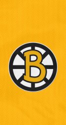 Bruins 05.jpg