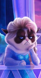 Grumpy Cat 05.jpg