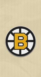 Bruins 02.jpg