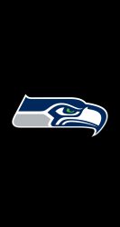 Seahawks 01.jpg