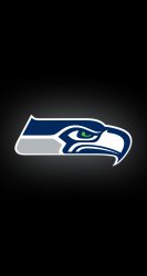 Seahawks 02.jpg