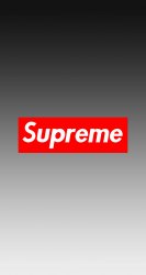 Supreme 03.jpg