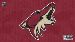 Phoenix-Coyotes-P-Red011.jpg