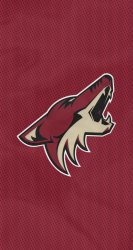 Coyotes 01.jpg