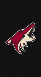 Coyotes 04.jpg