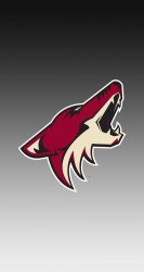 Coyotes 05.jpg