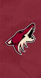 Coyotes 01.jpg