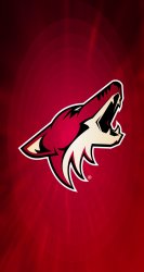 Coyotes 03.jpg