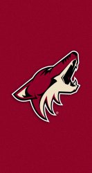 Coyotes 04.jpg