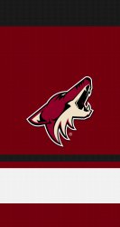 Coyotes 02.jpg