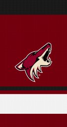 Coyotes 03.jpg