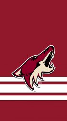 Coyotes 01.jpg