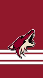 Coyotes 004.jpg