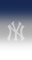 NY Yankees 04.jpg