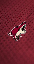 Coyotes 01.jpg