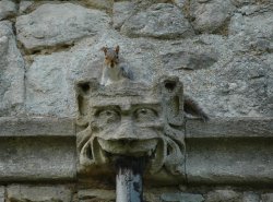 Squirrel Gargoyle.jpg