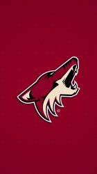 Coyotes.jpg