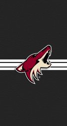 Coyotes 01.jpg