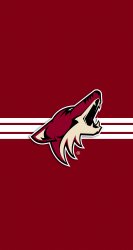 Coyotes 02.jpg