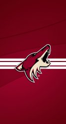 Coyotes 03.jpg