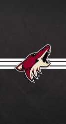 Coyotes 04.jpg