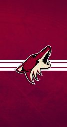 Coyotes 005.jpg