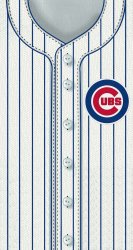 Cubs Jersey.jpg