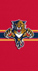 Florida Panthers.jpg