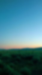 blurred-1.jpg
