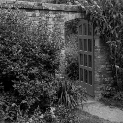 garden door_bw_dft.jpg