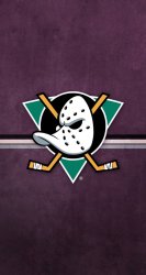 Anaheim Ducks.jpg