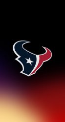 Texans 01.jpg