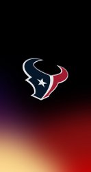 Texans 02.jpg