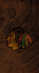 Blackhawks Sticks.jpg