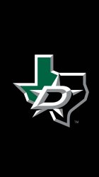 Dallas Stars 02.jpg