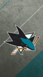 Sharks.jpg