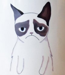 grumpy cat original_cropped.jpg