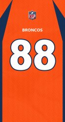 Broncos 88.jpg