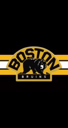 Bruins 01.jpg