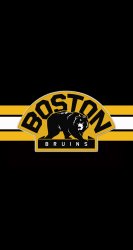 Bruins 02.jpg