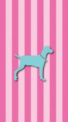 Dog Pink Stripes.jpg